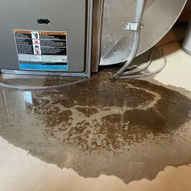 Appliance Leak Cleanup in Moorpark, CA